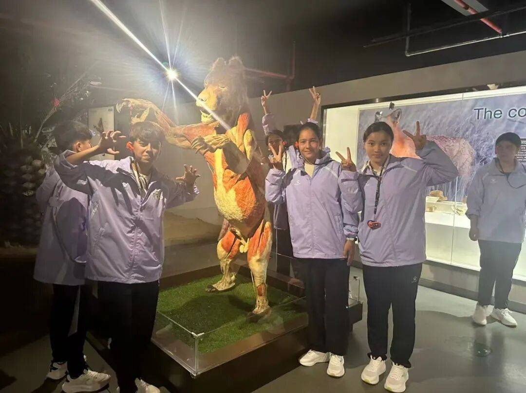 文章配图-1
